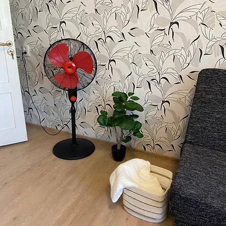 Uuemoisa Appartement *