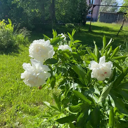 Uuemoisa Appartement